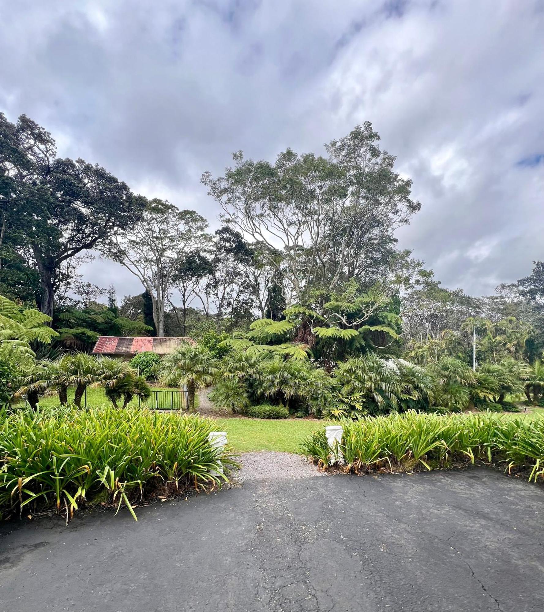 Aloha Junction Bed And Breakfast -Minutes Away From Hawaii Volcanoes National Park Экстерьер фото